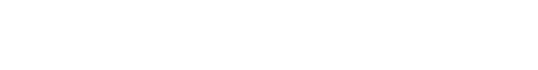 遊び方