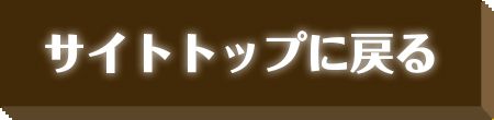 サイトトップに戻る