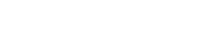『スキーキング』とは