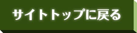 サイトトップに戻る