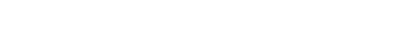 『荒野のガンファイター』とは